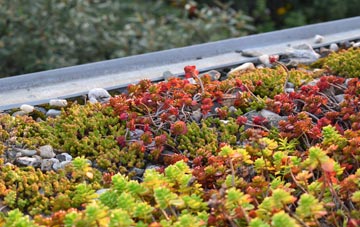 the cost of The Frenches green roof installation
