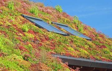 The Frenches living roof systems