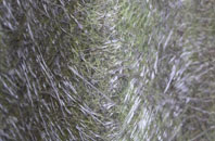 The Frenches fibreglass roof work